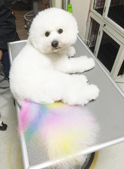 オプションメニュー オプションメニュー