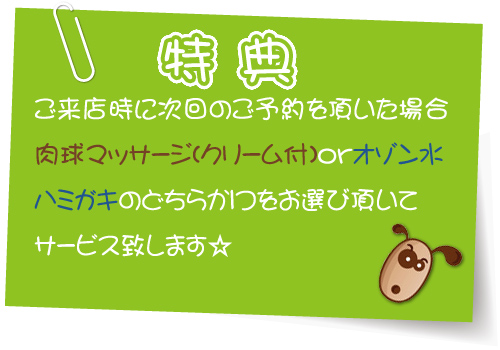 オプションメニュー オプションメニュー