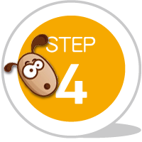 step4 step4