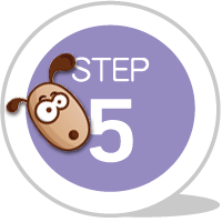 step5 step5