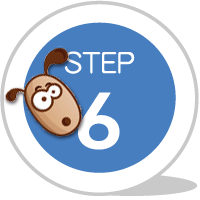 step6 step6